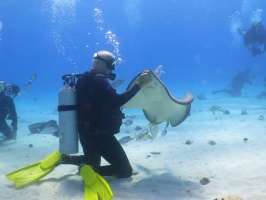 079 Steve at Stingray City IMG 6021